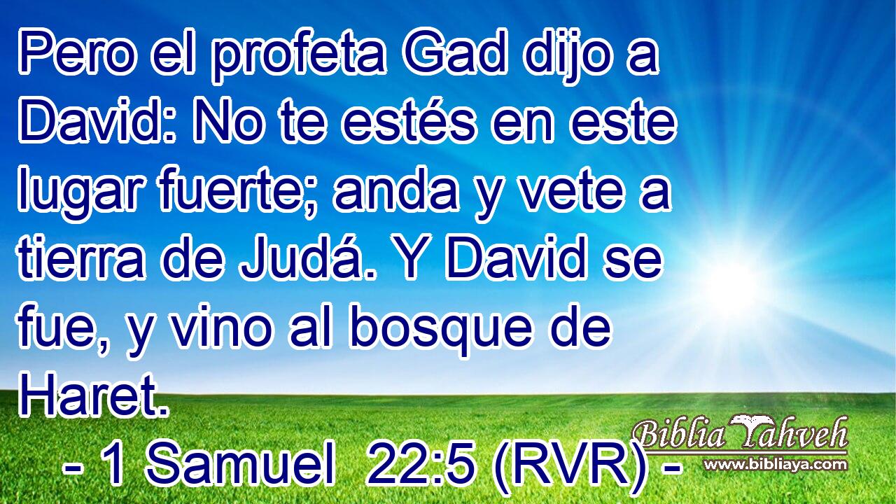 Pero el profeta Gad dijo a David: No te estés en este lugar fuerte; anda y vete a tierra de Judá. Y David se fue, y vino al bosque de Haret.