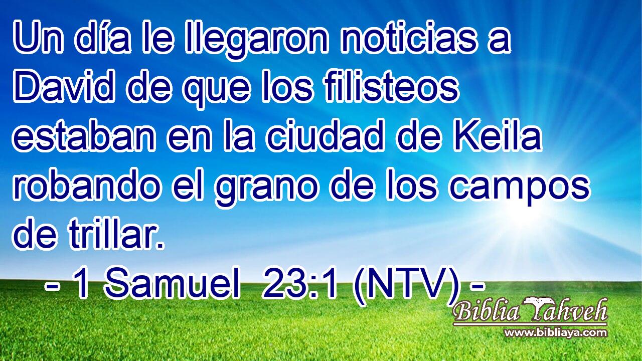 Un día le llegaron noticias a David de que los filisteos estaban en la ciudad de Keila robando el grano de los campos de trillar.