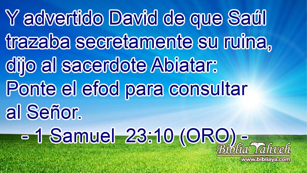  Y advertido David de que Saúl trazaba secretamente su ruina, dijo al sacerdote Abiatar: Ponte el efod para consultar al Señor. 