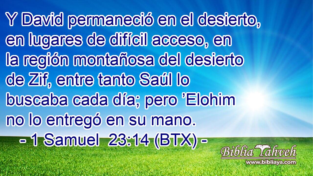 Y David permaneció en el desierto, en lugares de difícil acceso, en la región montañosa del desierto de Zif, entre tanto Saúl lo buscaba cada día; pero ’Elohim no lo entregó en su mano.