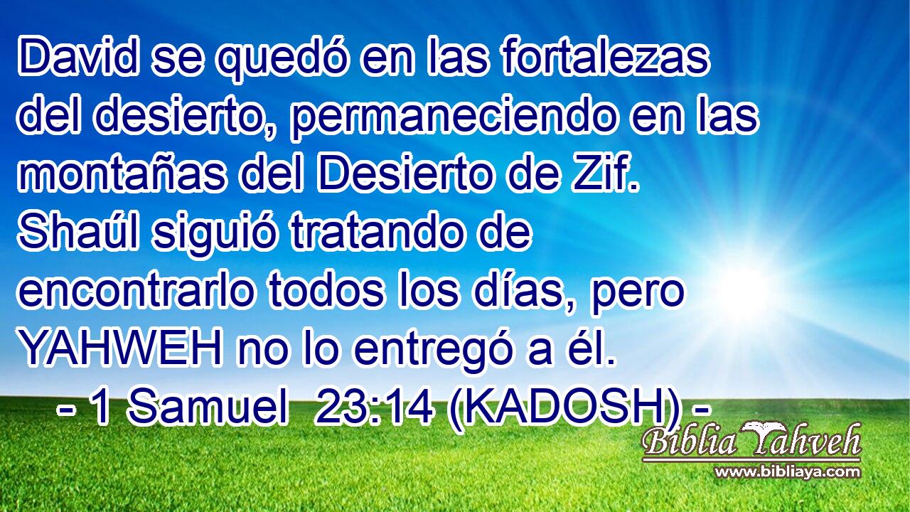  David se quedó en las fortalezas del desierto, permaneciendo en las montañas del Desierto de Zif. Shaúl siguió tratando de encontrarlo todos los días, pero YAHWEH no lo entregó a él. 