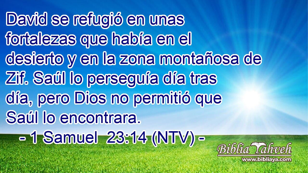 David se refugió en unas fortalezas que había en el desierto y en la zona montañosa de Zif. Saúl lo perseguía día tras día, pero Dios no permitió que Saúl lo encontrara.