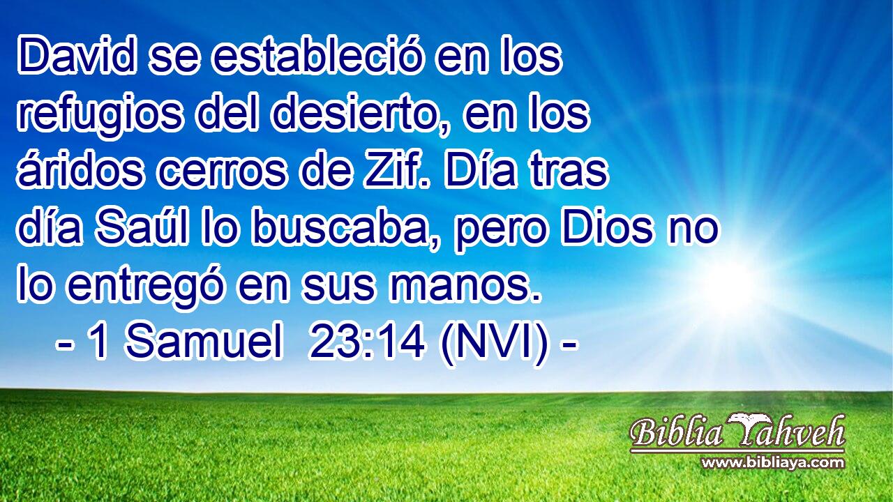  David se estableció en los refugios del desierto, en los áridos cerros de Zif. Día tras día Saúl lo buscaba, pero Dios no lo entregó en sus manos. 