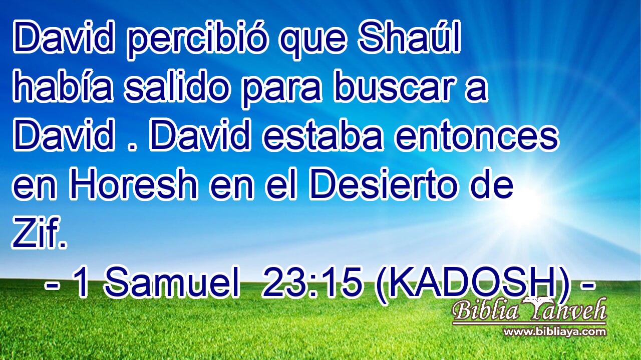  David percibió que Shaúl había salido para buscar a David . David estaba entonces en Horesh en el Desierto de Zif. 