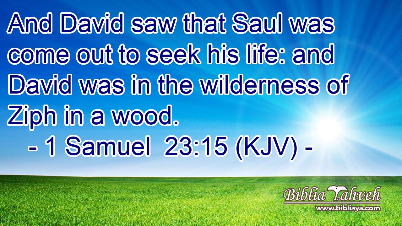 And David saw that Saul was come out to seek his life: and David was in the wilderness of Ziph in a wood.
