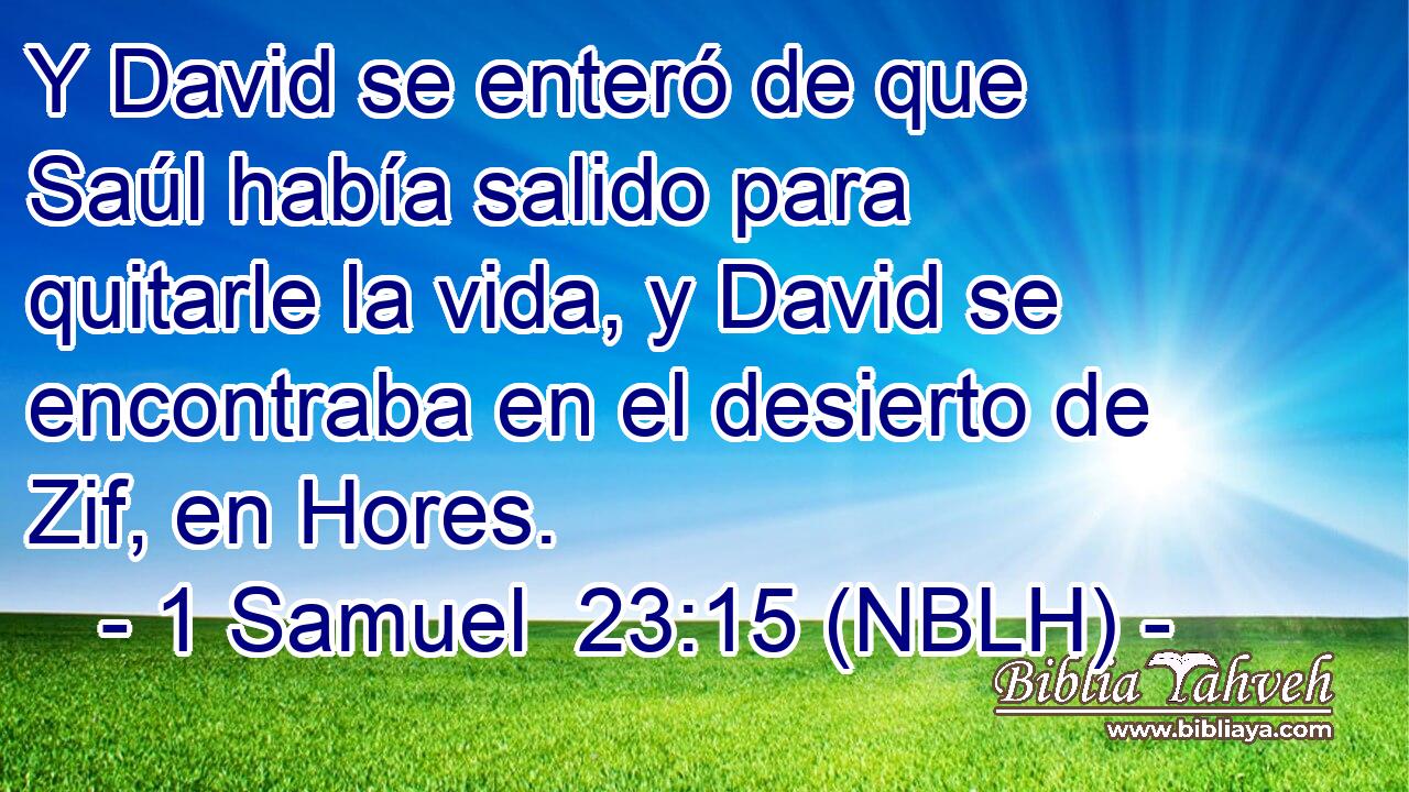  Y David se enteró de que Saúl había salido para quitarle la vida, y David se encontraba en el desierto de Zif, en Hores. 