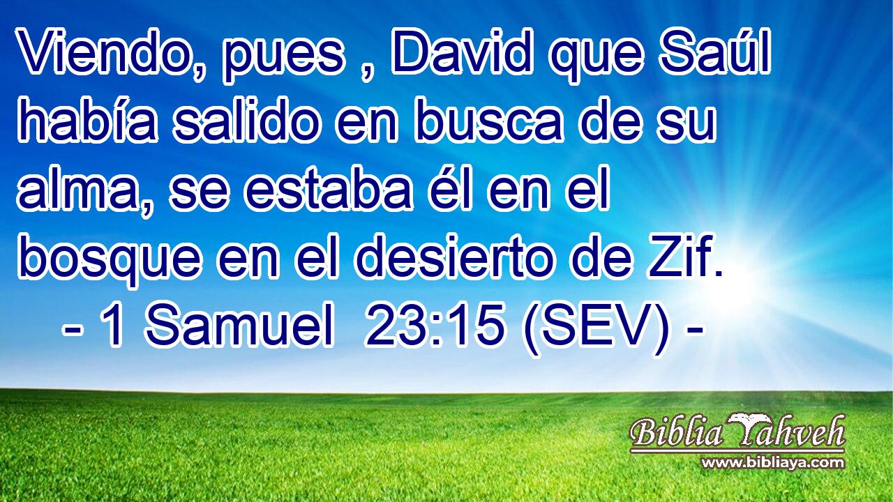 Viendo, pues , David que Saúl había salido en busca de su alma, se estaba él en el bosque en el desierto de Zif.
