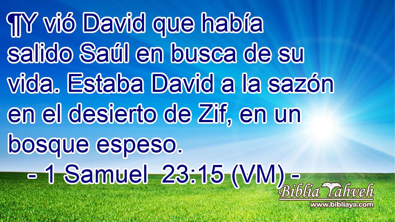  ¶Y vió David que había salido Saúl en busca de su vida. Estaba David a la sazón en el desierto de Zif, en un bosque espeso. 