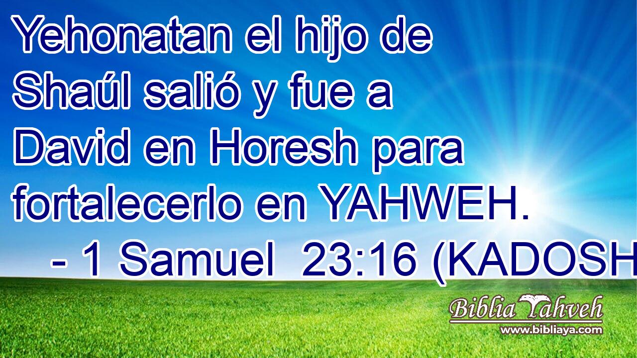  Yehonatan el hijo de Shaúl salió y fue a David en Horesh para fortalecerlo en YAHWEH. 