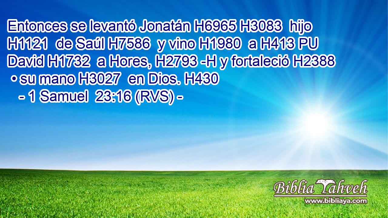 Entonces se levantó Jonatán H6965 H3083  hijo H1121  de Saúl H7586  y vino H1980  a H413 PU David H1732  a Hores, H2793 -H y fortaleció H2388  • su mano H3027  en Dios. H430  