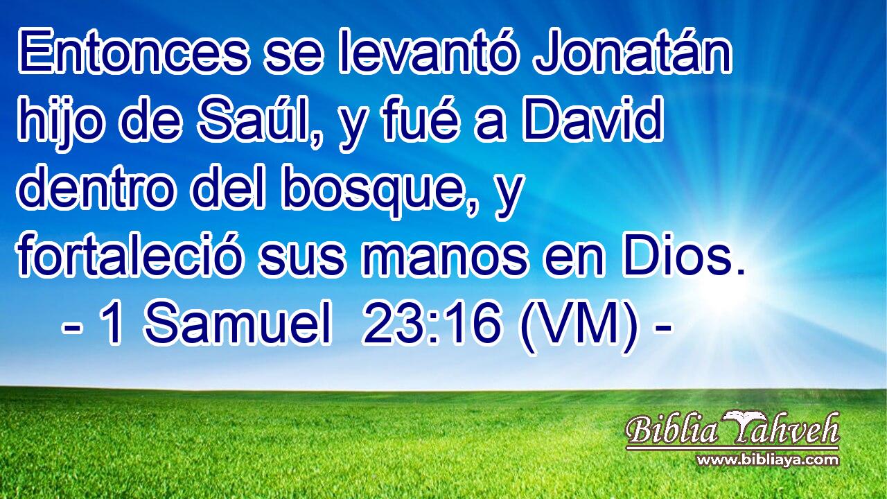  Entonces se levantó Jonatán hijo de Saúl, y fué a David dentro del bosque, y fortaleció sus manos en Dios. 