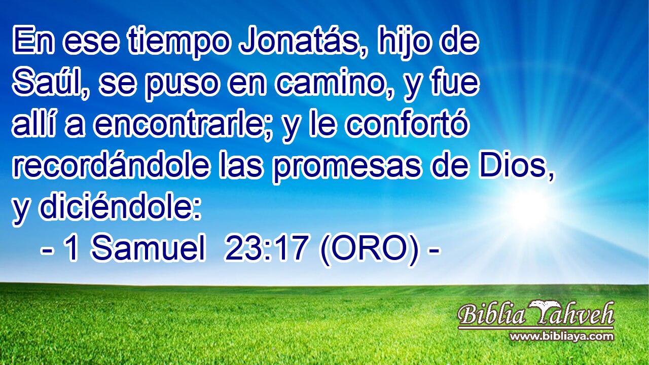  En ese tiempo Jonatás, hijo de Saúl, se puso en camino, y fue allí a encontrarle; y le confortó recordándole las promesas de Dios, y diciéndole: 