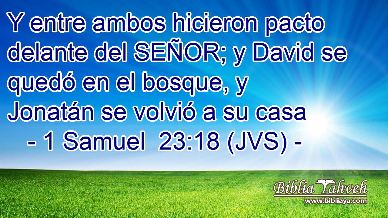 Y entre ambos hicieron pacto delante del SEÑOR; y David se quedó en el bosque, y Jonatán se volvió a su casa