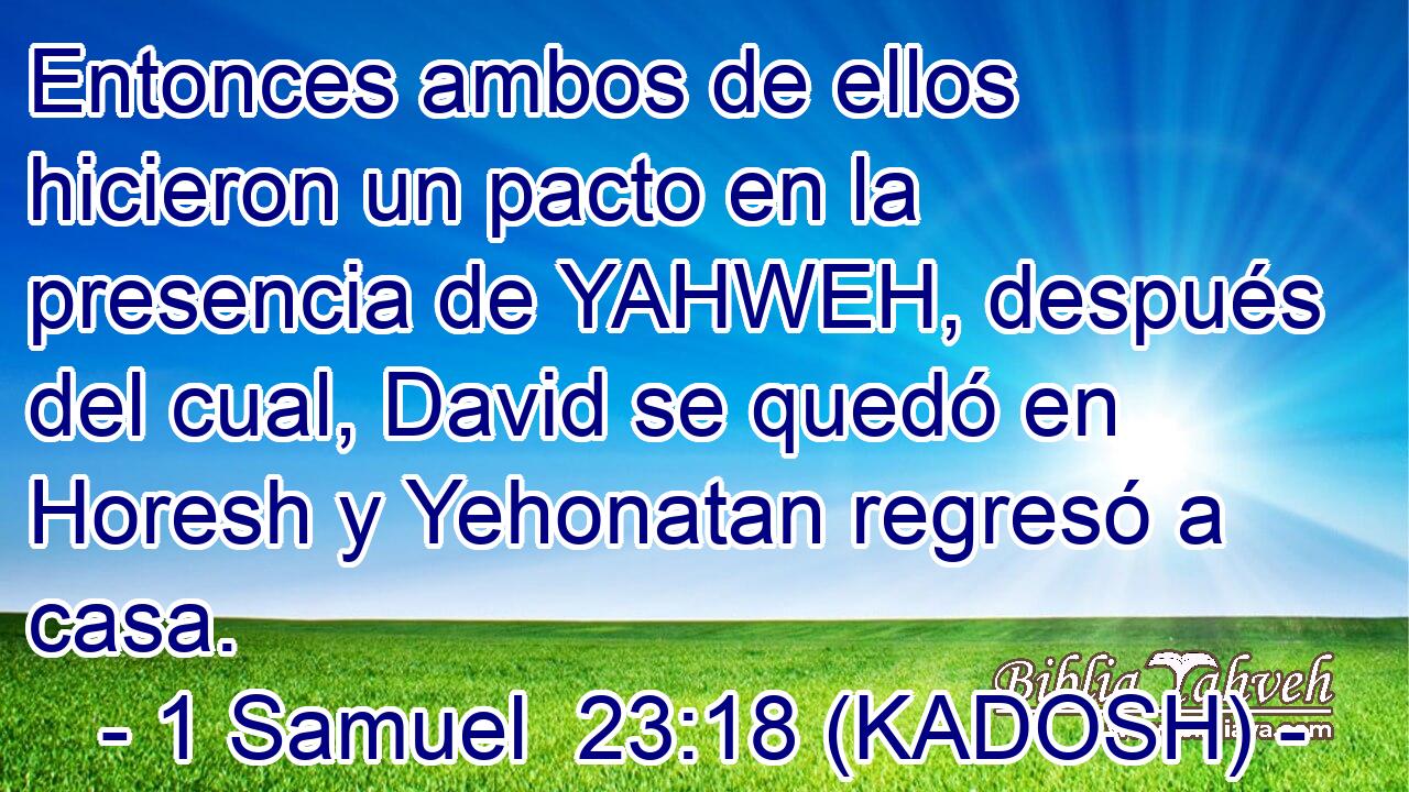  Entonces ambos de ellos hicieron un pacto en la presencia de YAHWEH, después del cual, David se quedó en Horesh y Yehonatan regresó a casa. 