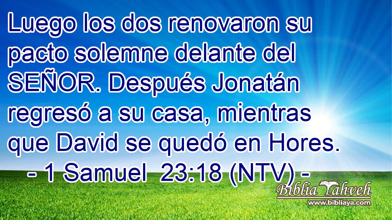 Luego los dos renovaron su pacto solemne delante del SEÑOR. Después Jonatán regresó a su casa, mientras que David se quedó en Hores.