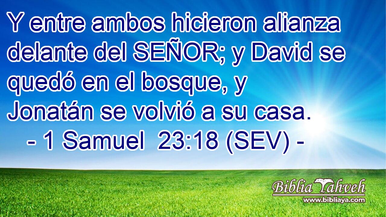 Y entre ambos hicieron alianza delante del SEÑOR; y David se quedó en el bosque, y Jonatán se volvió a su casa.