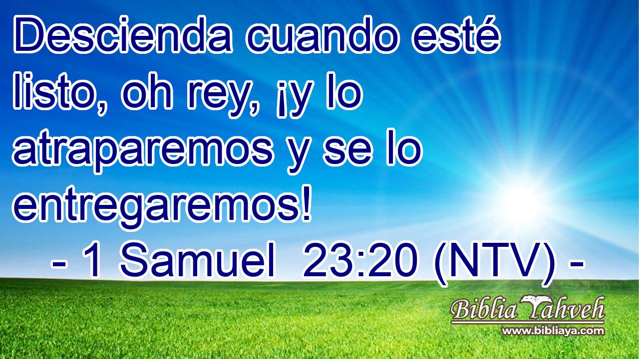 Descienda cuando esté listo, oh rey, ¡y lo atraparemos y se lo entregaremos!