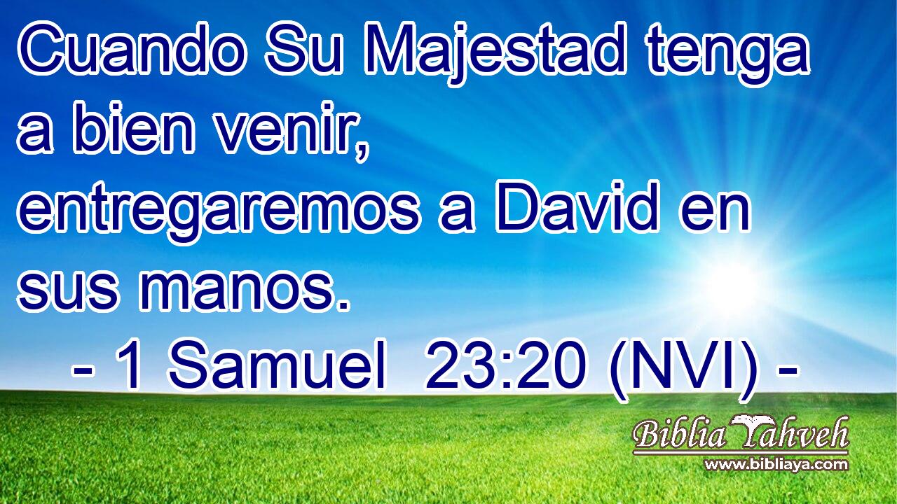  Cuando Su Majestad tenga a bien venir, entregaremos a David en sus manos. 