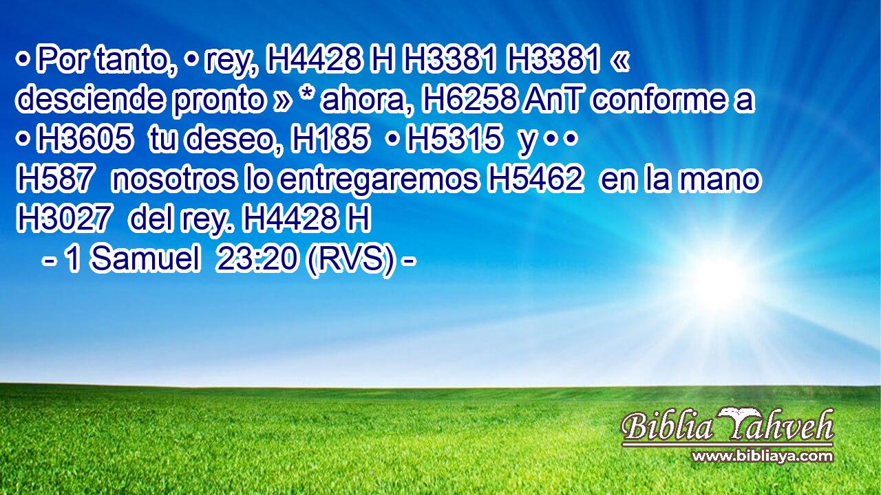 • Por tanto, • rey, H4428 H H3381 H3381 « desciende pronto » * ahora, H6258 AnT conforme a • H3605  tu deseo, H185  • H5315  y • • H587  nosotros lo entregaremos H5462  en la mano H3027  del rey. H4428 H 