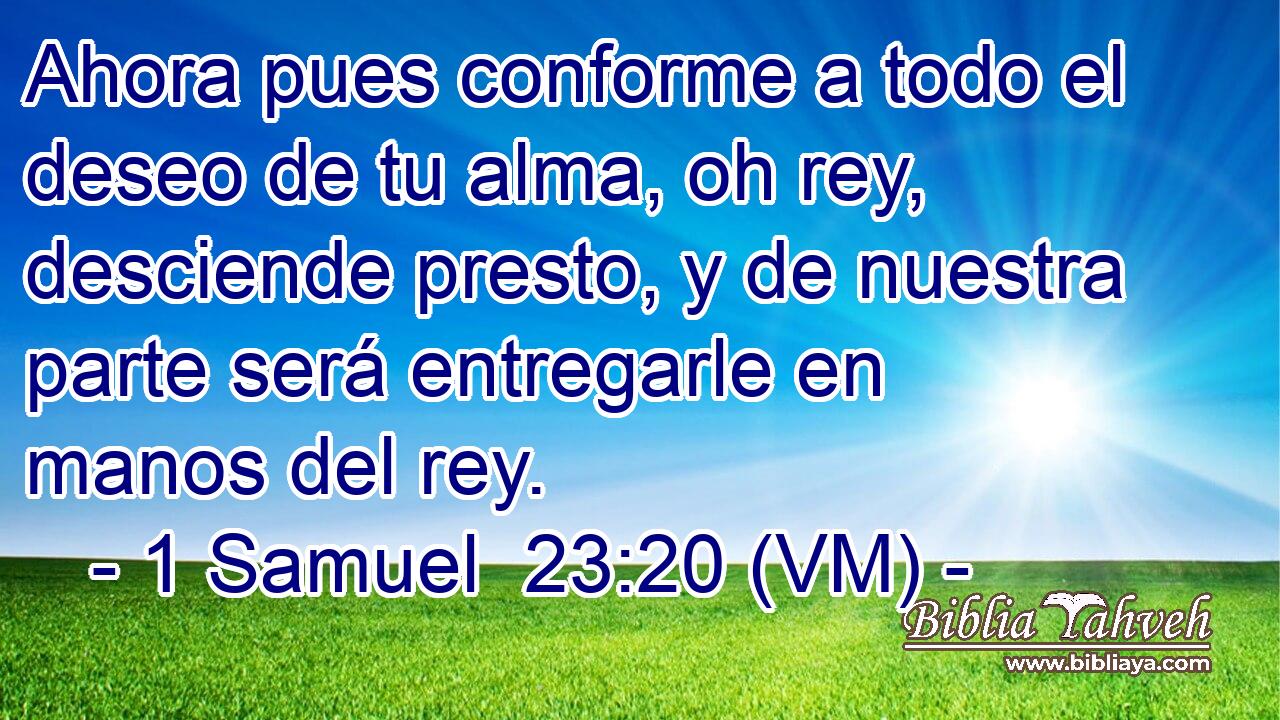  Ahora pues conforme a todo el deseo de tu alma, oh rey, desciende presto, y de nuestra parte será entregarle en manos del rey. 
