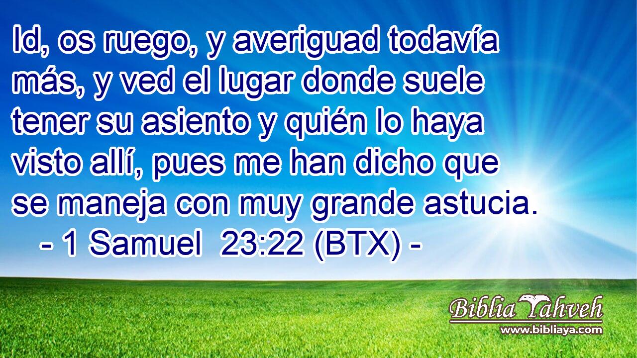 Id, os ruego, y averiguad todavía más, y ved el lugar donde suele tener su asiento y quién lo haya visto allí, pues me han dicho que se maneja con muy grande astucia.