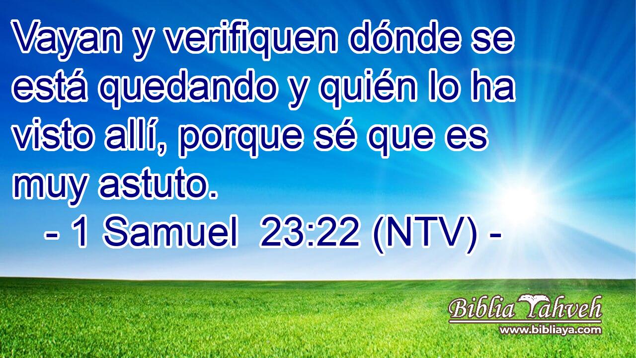 Vayan y verifiquen dónde se está quedando y quién lo ha visto allí, porque sé que es muy astuto.