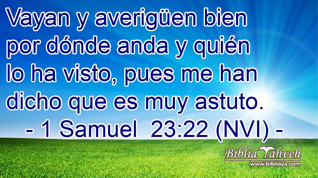 Vayan y averigüen bien por dónde anda y quién lo ha visto, pues me han dicho que es muy astuto. 