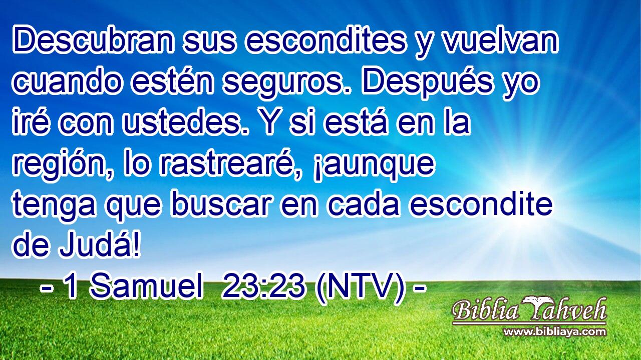 Descubran sus escondites y vuelvan cuando estén seguros. Después yo iré con ustedes. Y si está en la región, lo rastrearé, ¡aunque tenga que buscar en cada escondite de Judá!