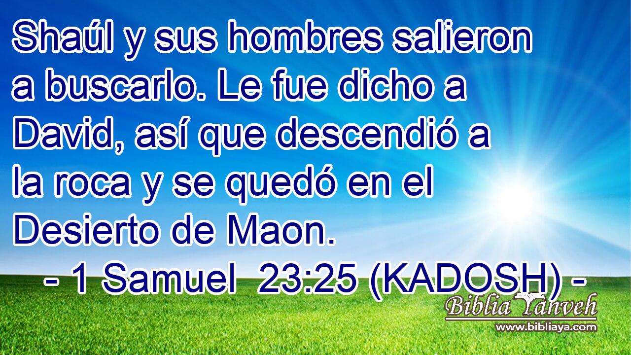  Shaúl y sus hombres salieron a buscarlo. Le fue dicho a David, así que descendió a la roca y se quedó en el Desierto de Maon. 