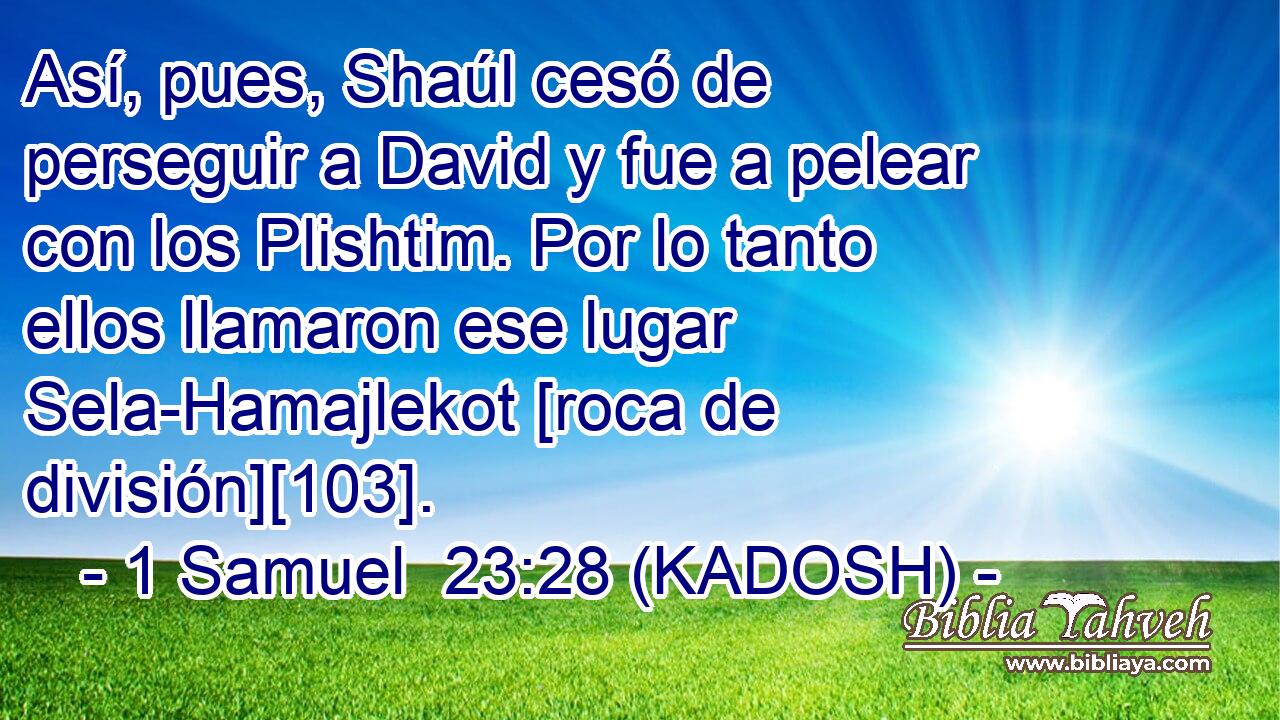  Así, pues, Shaúl cesó de perseguir a David y fue a pelear con los Plishtim. Por lo tanto ellos llamaron ese lugar Sela-Hamajlekot [roca de división][103]. 