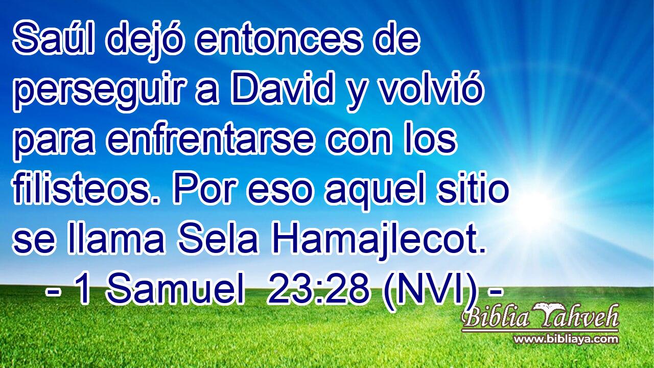  Saúl dejó entonces de perseguir a David y volvió para enfrentarse con los filisteos. Por eso aquel sitio se llama Sela Hamajlecot. 