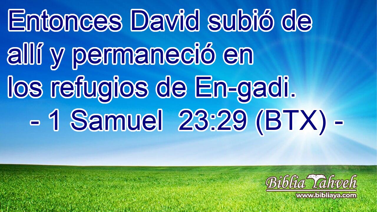 Entonces David subió de allí y permaneció en los refugios de En-gadi.