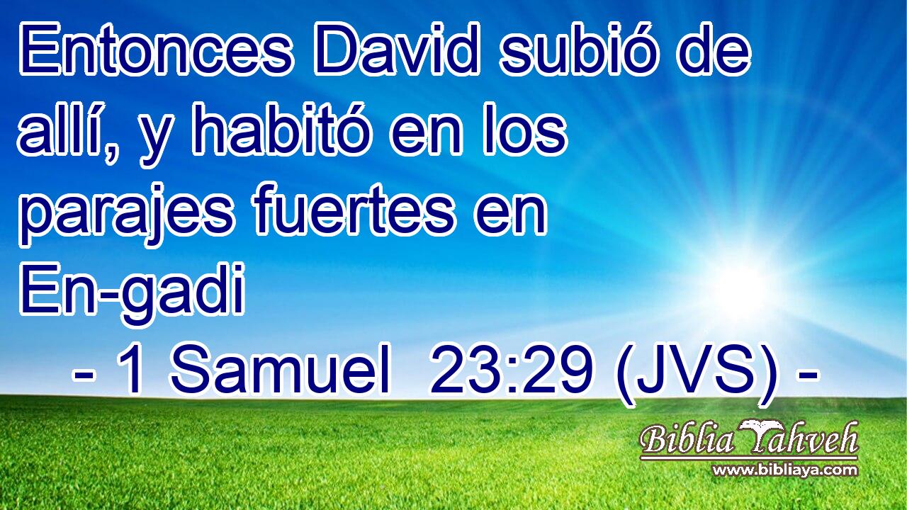Entonces David subió de allí, y habitó en los parajes fuertes en En-gadi