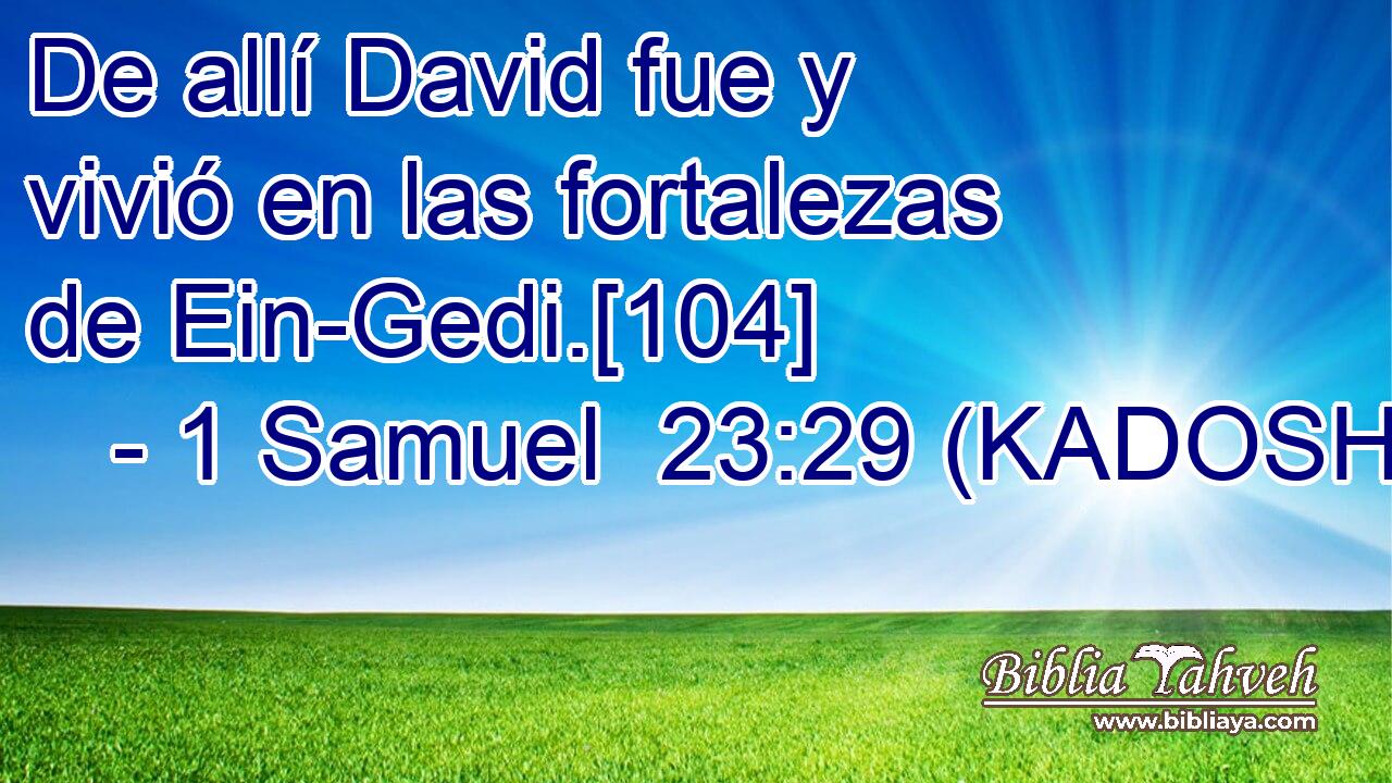  De allí David fue y vivió en las fortalezas de Ein-Gedi.[104] 