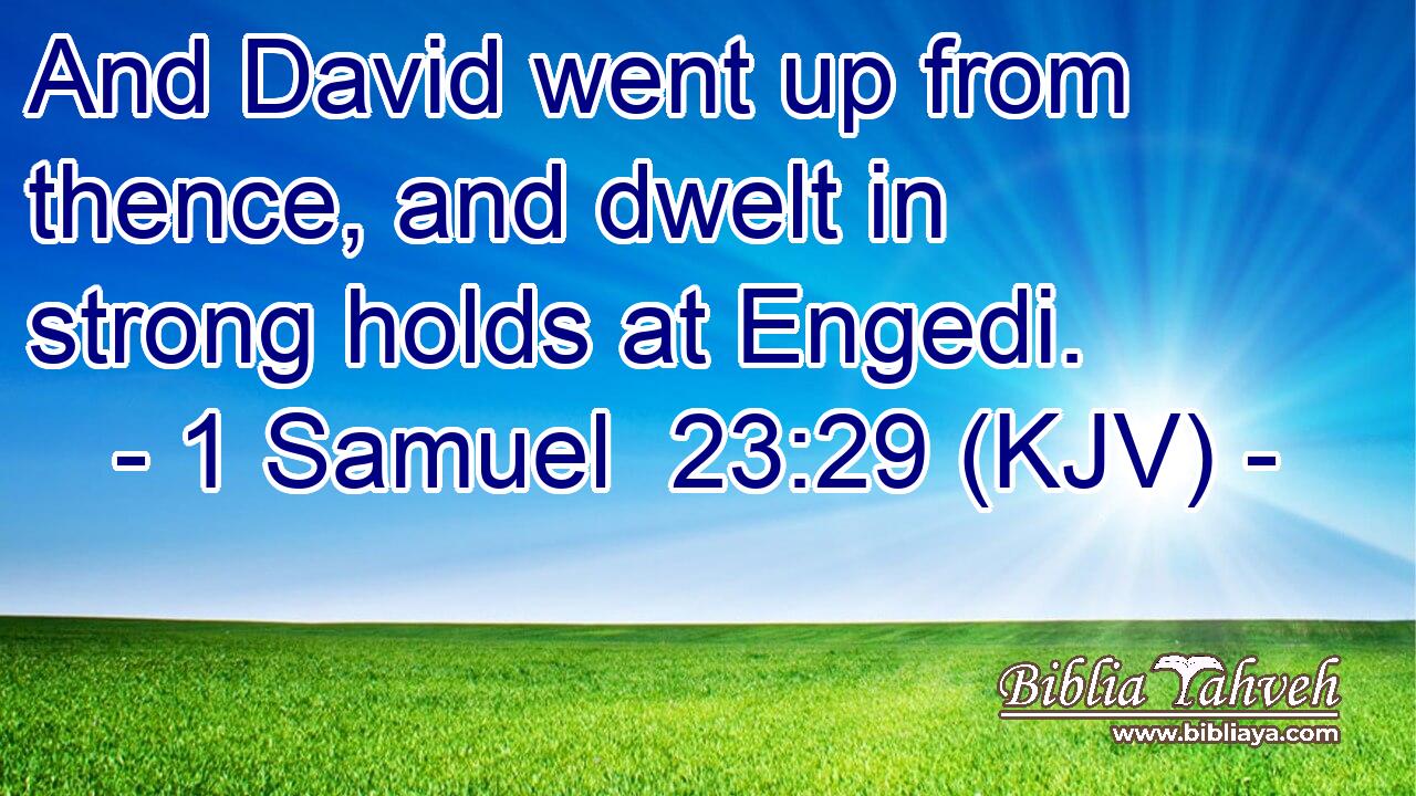 And David went up from thence, and dwelt in strong holds at Engedi.