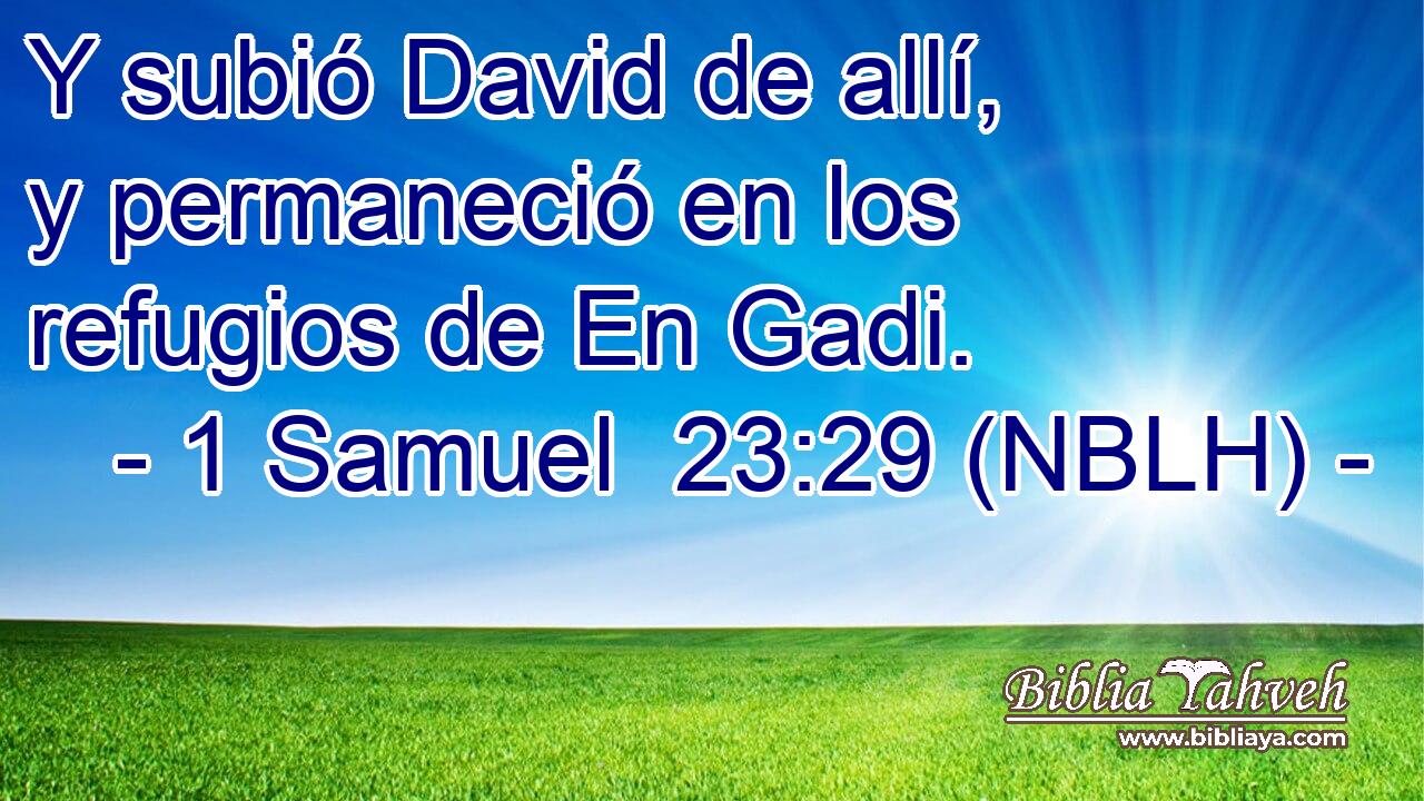  Y subió David de allí, y permaneció en los refugios de En Gadi. 