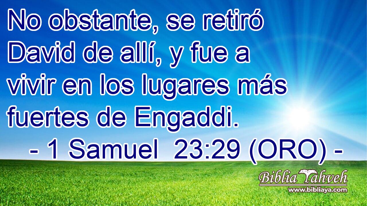 No obstante, se retiró David de allí, y fue a vivir en los lugares más fuertes de Engaddi. 