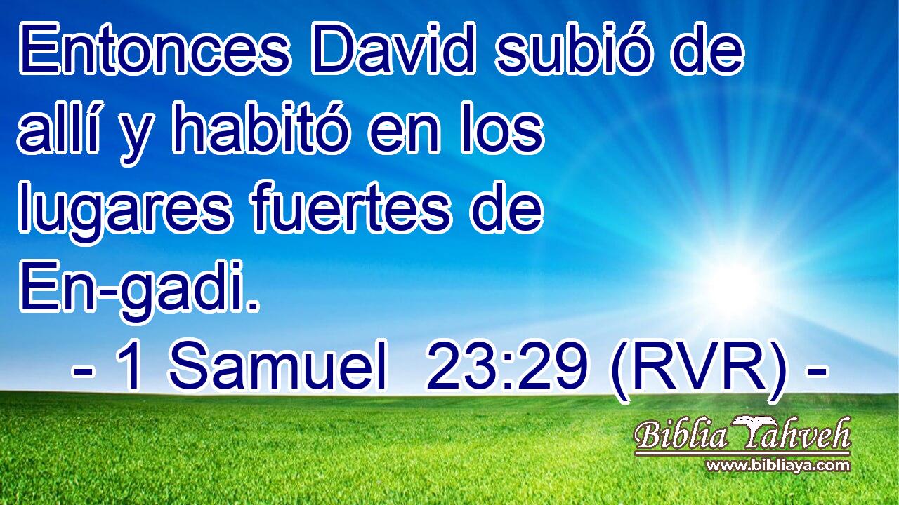 Entonces David subió de allí y habitó en los lugares fuertes de En-gadi.