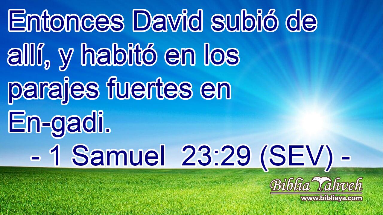 Entonces David subió de allí, y habitó en los parajes fuertes en En-gadi.