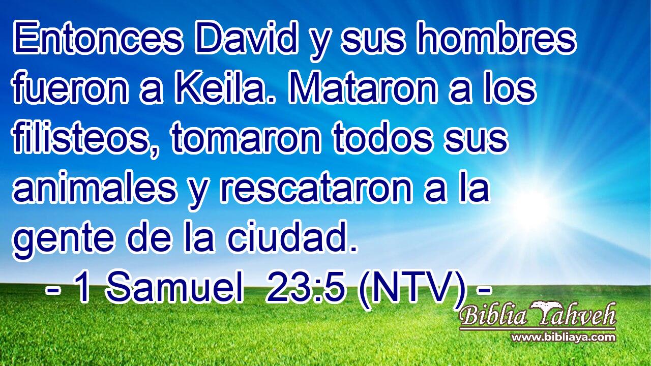 Entonces David y sus hombres fueron a Keila. Mataron a los filisteos, tomaron todos sus animales y rescataron a la gente de la ciudad.