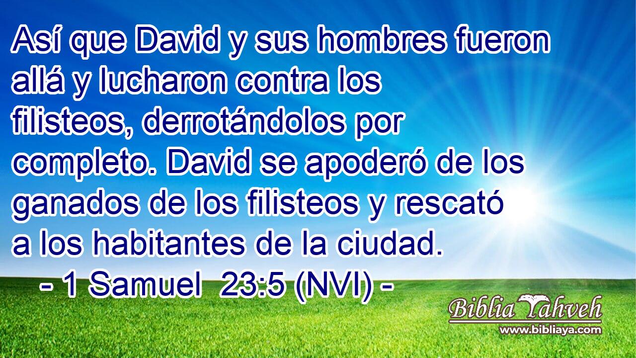  Así que David y sus hombres fueron allá y lucharon contra los filisteos, derrotándolos por completo. David se apoderó de los ganados de los filisteos y rescató a los habitantes de la ciudad. 