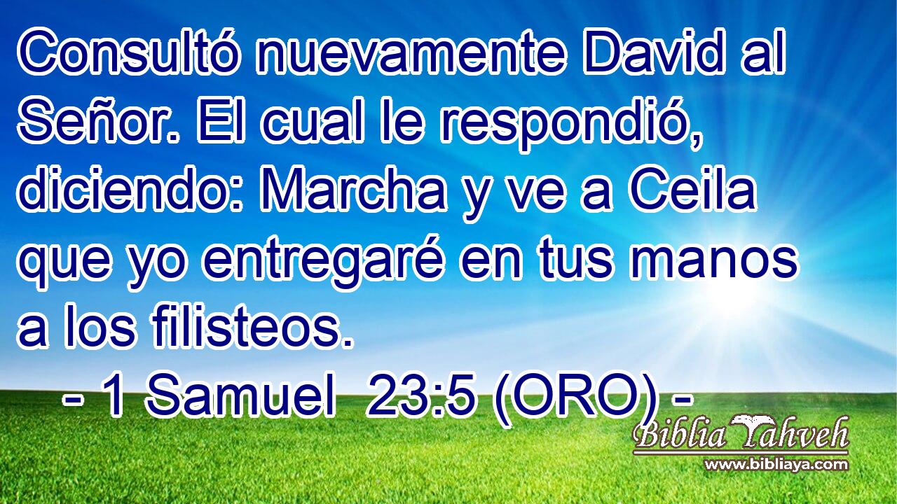  Consultó nuevamente David al Señor. El cual le respondió, diciendo: Marcha y ve a Ceila que yo entregaré en tus manos a los filisteos. 