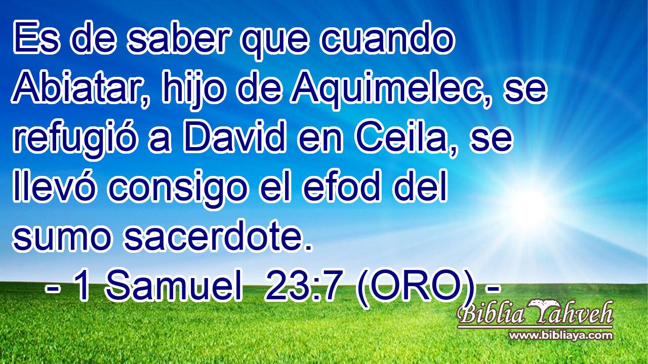  Es de saber que cuando Abiatar, hijo de Aquimelec, se refugió a David en Ceila, se llevó consigo el efod del sumo sacerdote. 