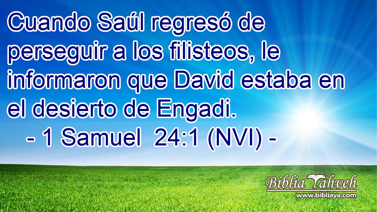  Cuando Saúl regresó de perseguir a los filisteos, le informaron que David estaba en el desierto de Engadi. 