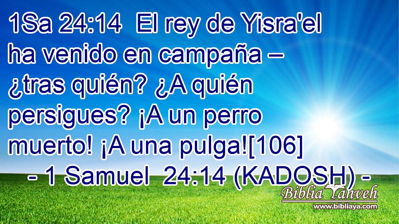  El rey de Yisra'el ha venido en campaña – ¿tras quién? ¿A quién persigues? ¡A un perro muerto! ¡A una pulga![106] 