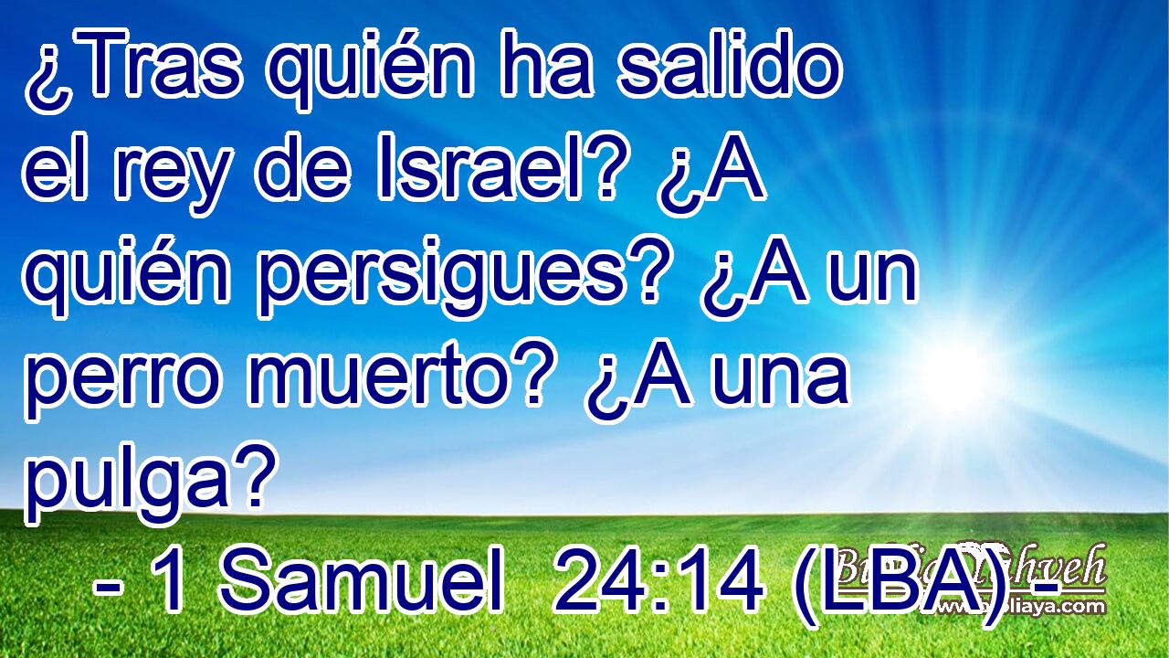 ¿Tras quién ha salido el rey de Israel? ¿A quién persigues? ¿A un perro muerto? ¿A una pulga?