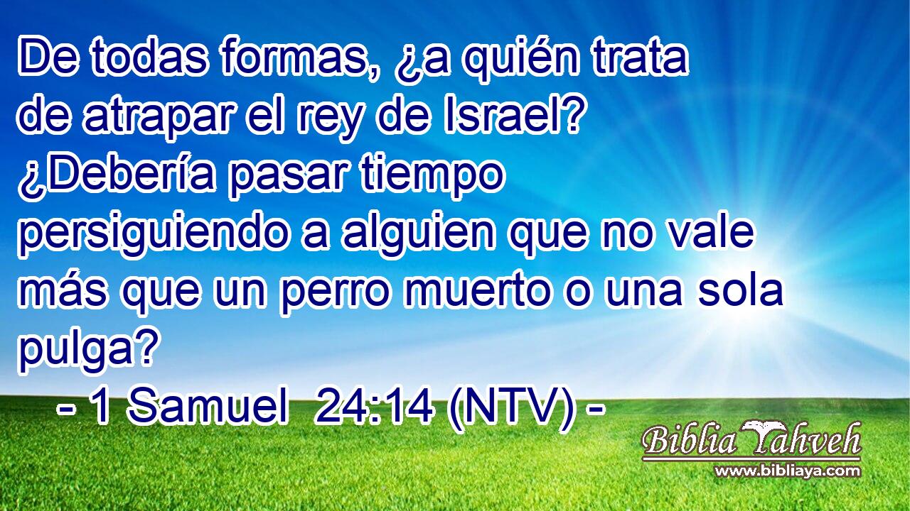 De todas formas, ¿a quién trata de atrapar el rey de Israel? ¿Debería pasar tiempo persiguiendo a alguien que no vale más que un perro muerto o una sola pulga?