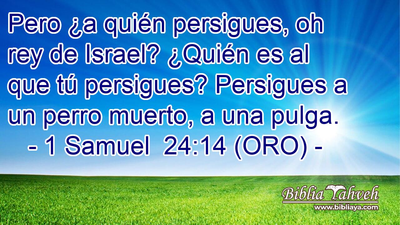  Pero ¿a quién persigues, oh rey de Israel? ¿Quién es al que tú persigues? Persigues a un perro muerto, a una pulga. 