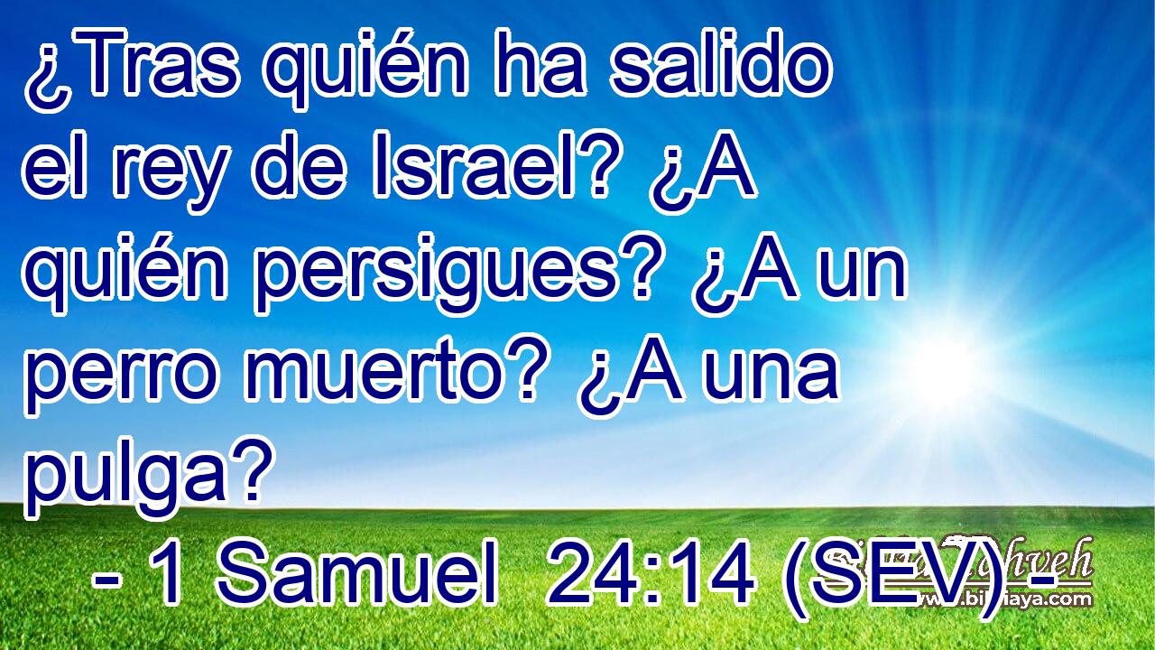 ¿Tras quién ha salido el rey de Israel? ¿A quién persigues? ¿A un perro muerto? ¿A una pulga?
