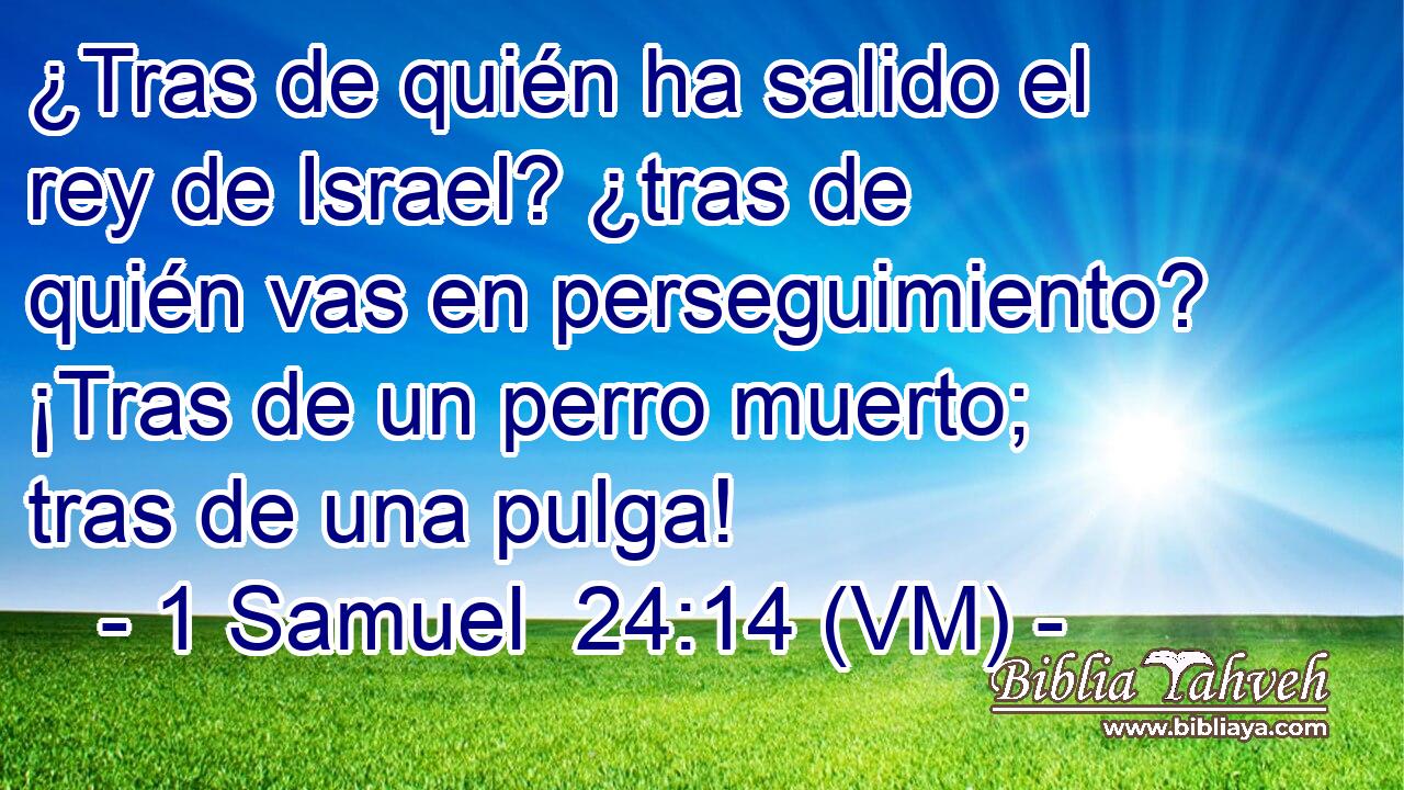  ¿Tras de quién ha salido el rey de Israel? ¿tras de quién vas en perseguimiento? ¡Tras de un perro muerto; tras de una pulga! 